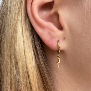PENDIENTES RAYITO ARITO