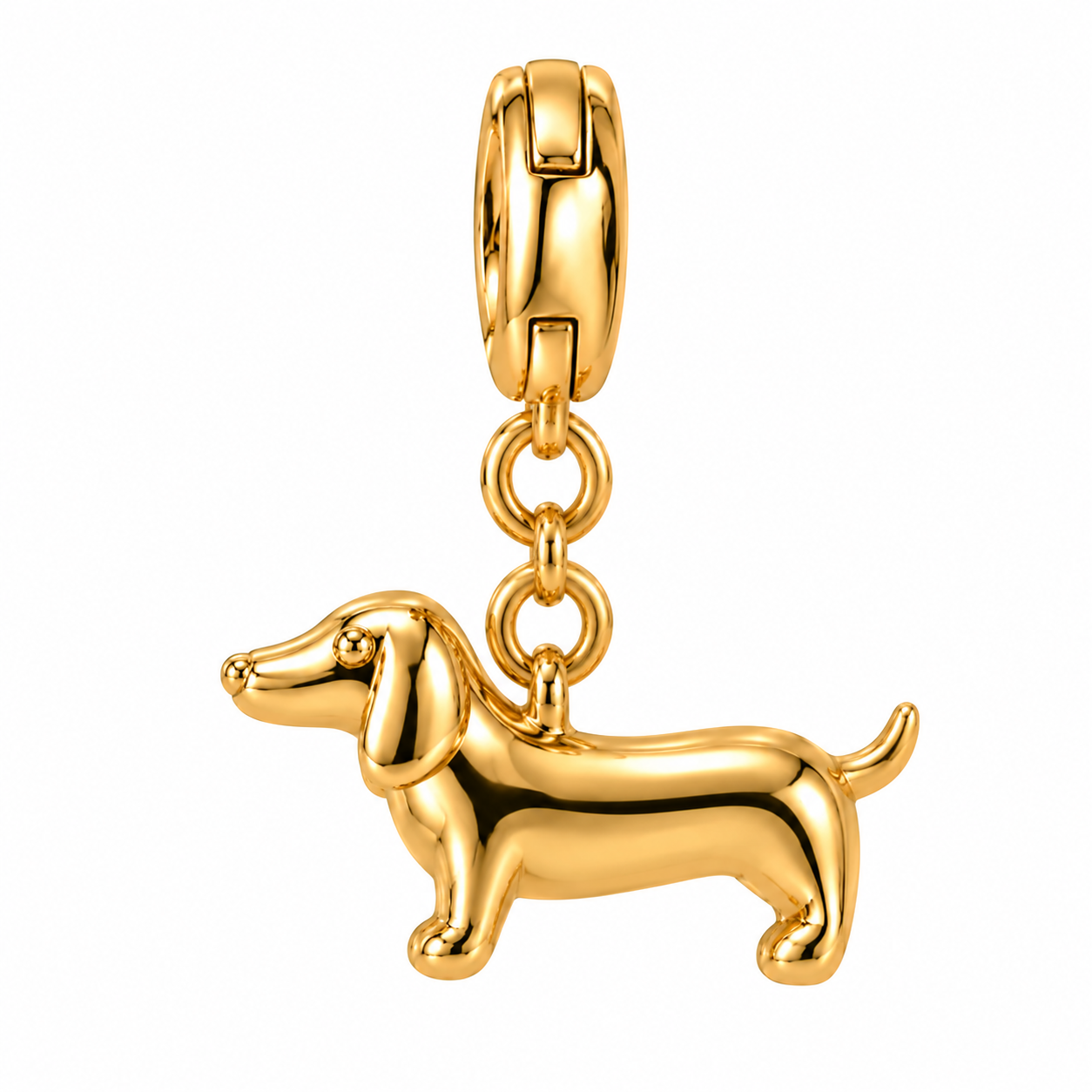 Charm Dog